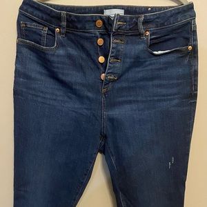 Loft jeans for Women